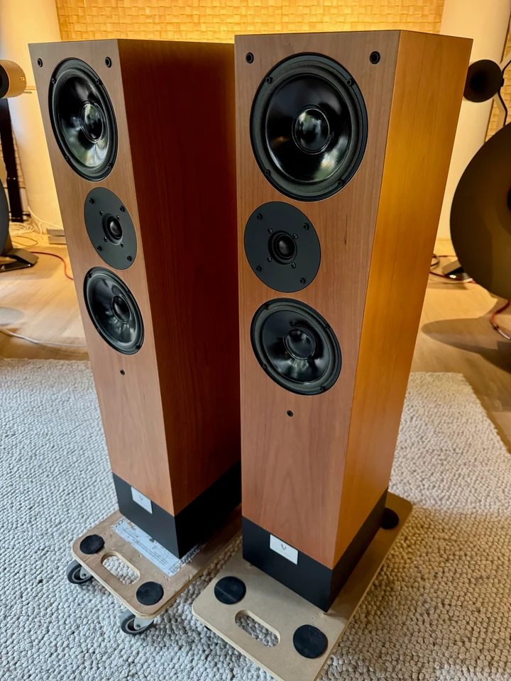 Living Voice IBX RW4 — hoofdfoto