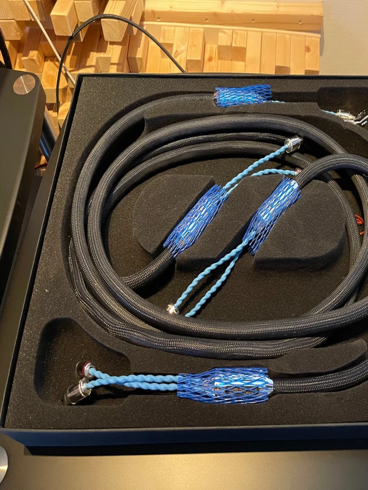 Siltech Classic Anniversary 770 L - luidspreker kabel — hoofdfoto