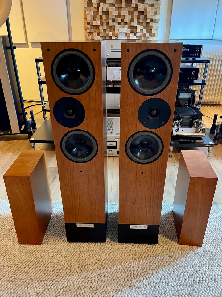 Living Voice OBX RW — hoofdfoto