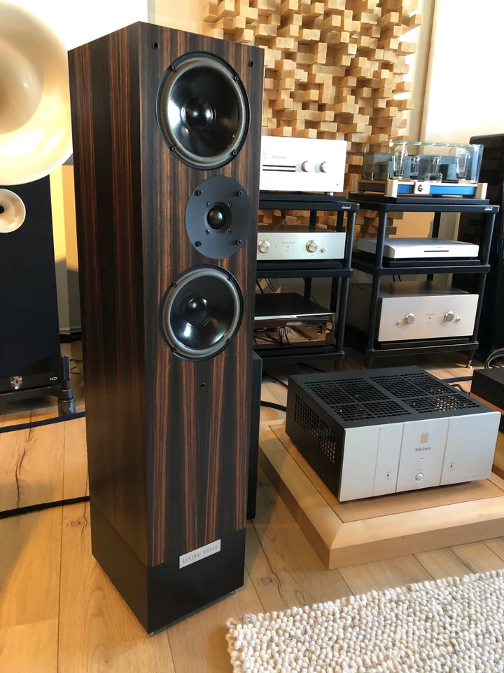 Living Voice OBX R2 — hoofdfoto