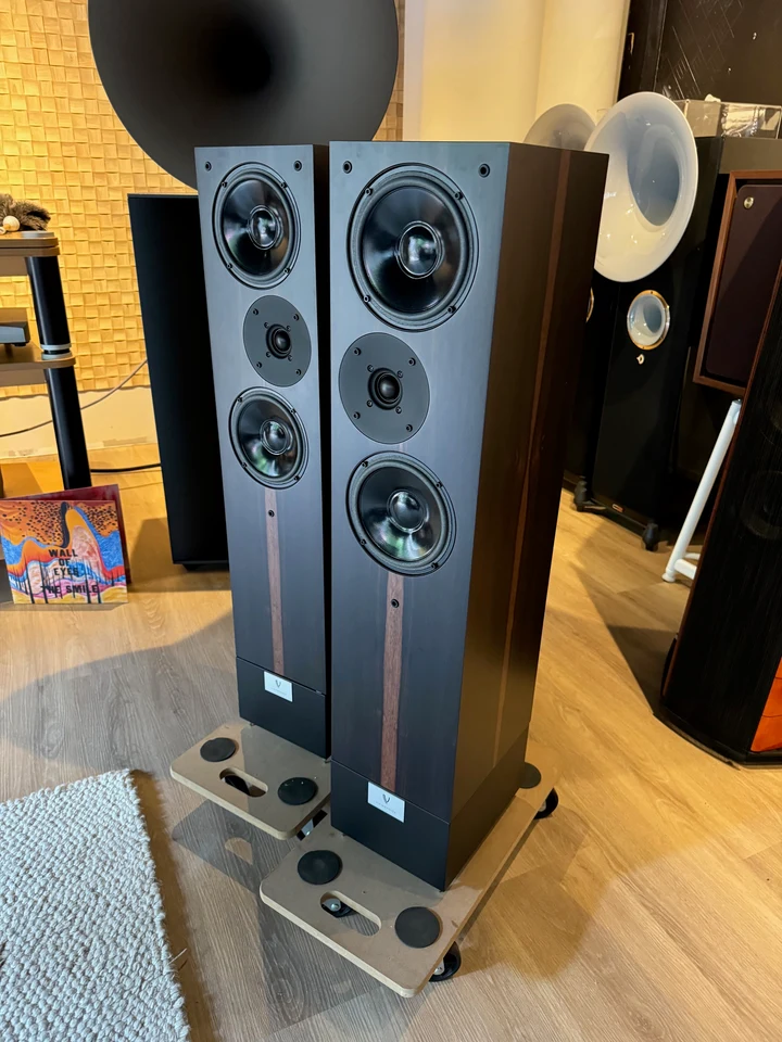 Living Voice IBX RW4 - Ebony — hoofdfoto