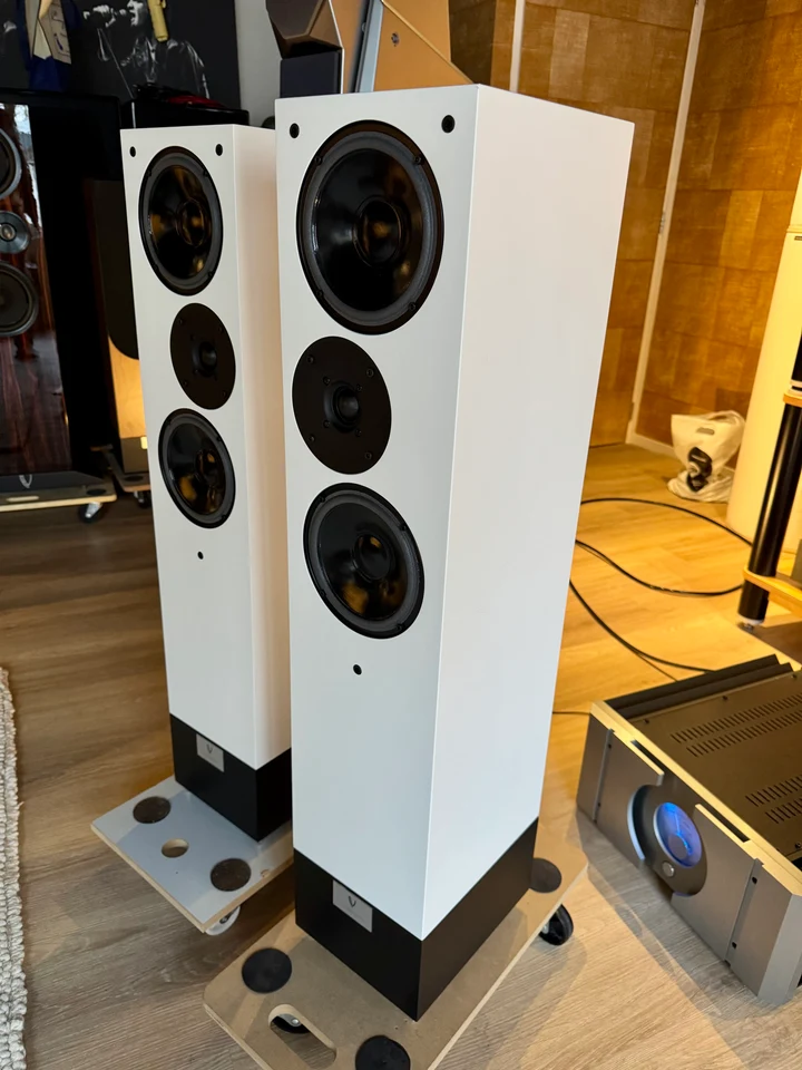 Living Voice IBX-R4