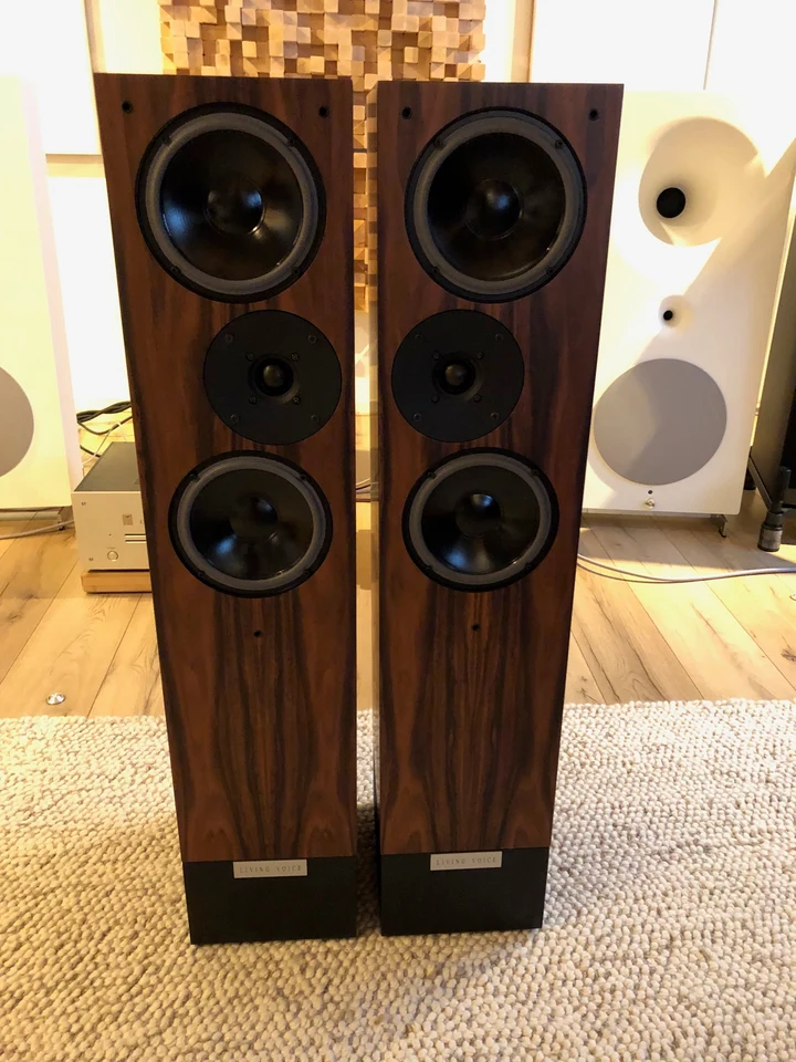 Living Voice IBX R3 — hoofdfoto