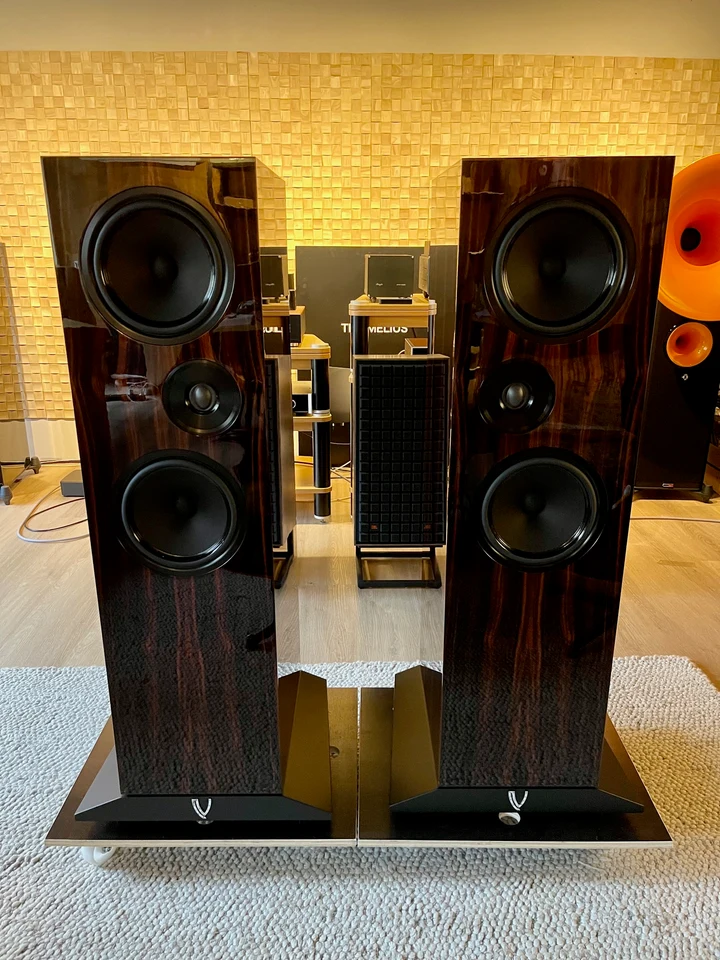 Living Voice R80